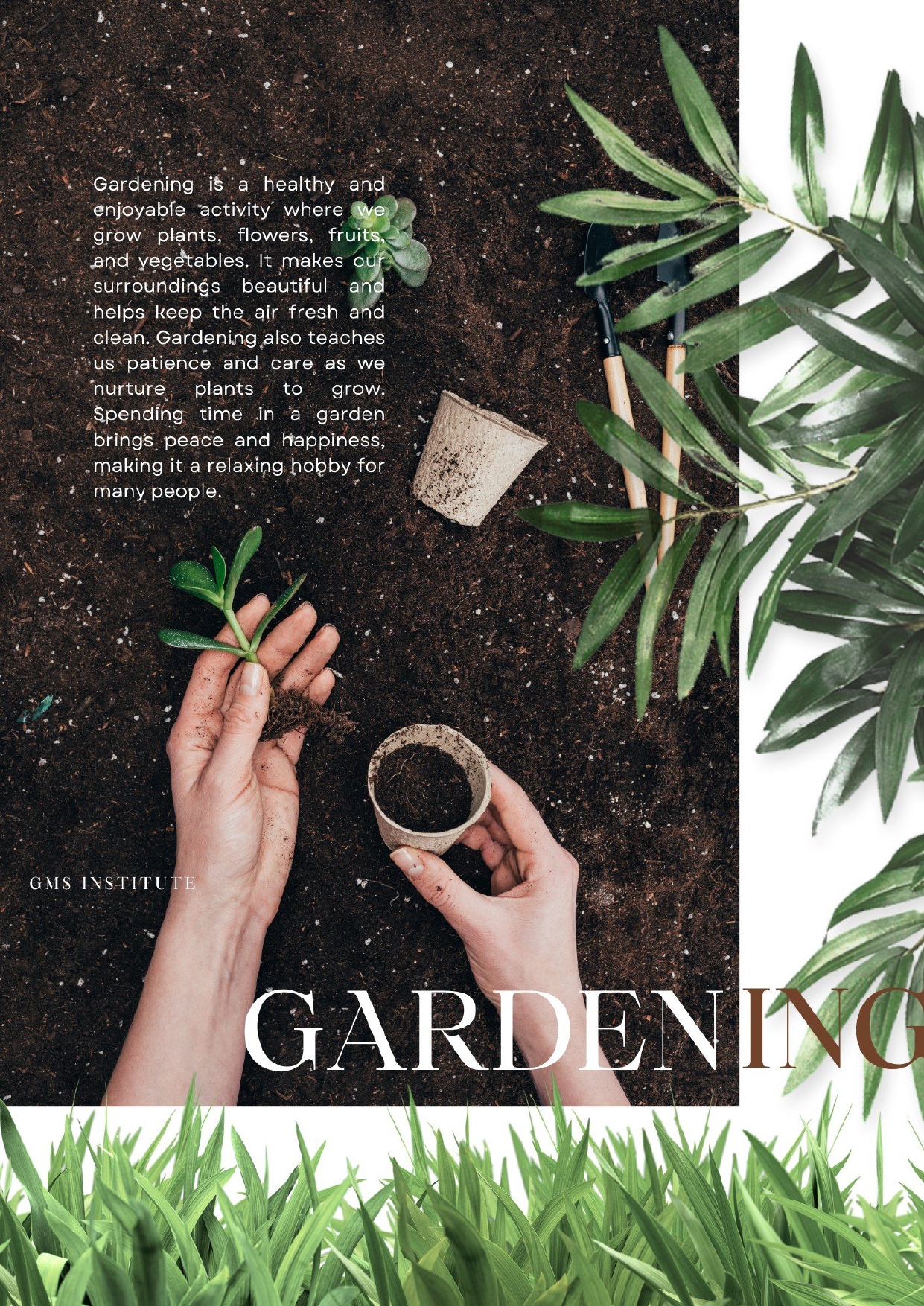 gms brochure page 0009